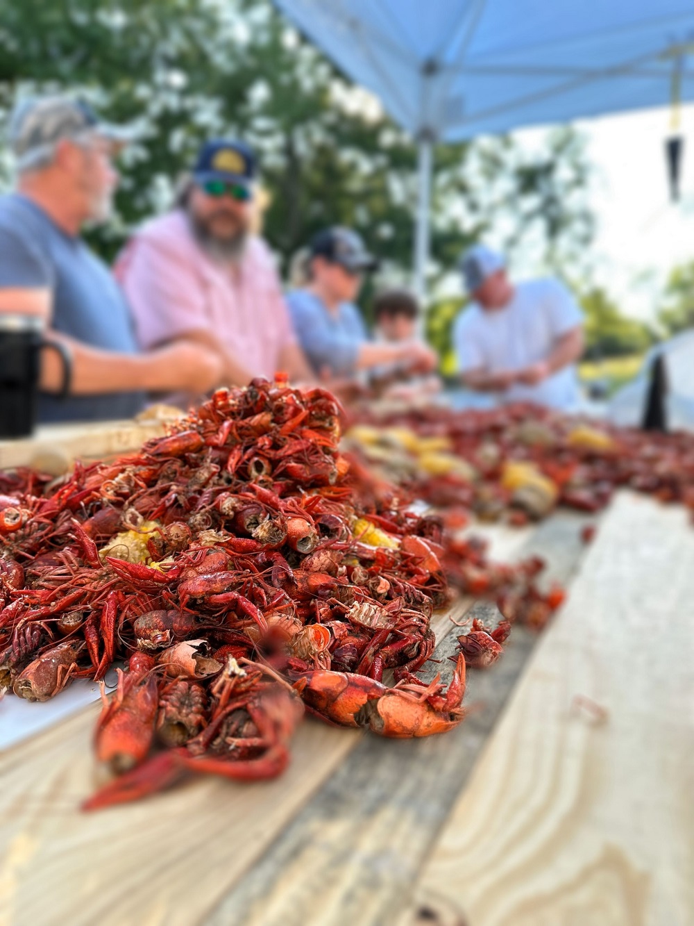 Crawfish-Piles
